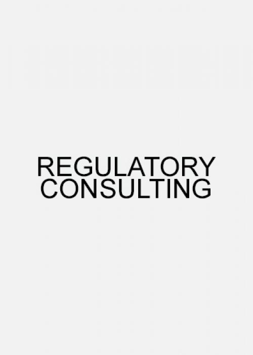 Regulatory Consulting