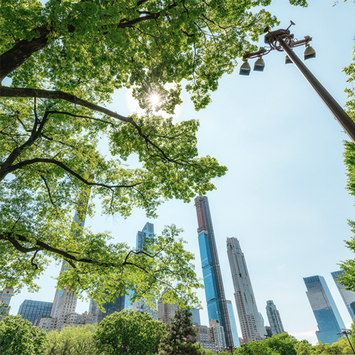 New Green Incentives for Industries in New York