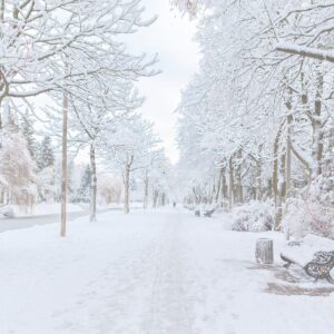 Snow-covered landscape representing cold snap conditions and winter peak energy demand.
