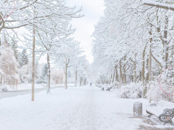 Snow-covered landscape representing cold snap conditions and winter peak energy demand.