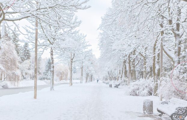 Cold Snaps Create Peak Windows: A Practical Readiness Playbook for C&I Energy Teams