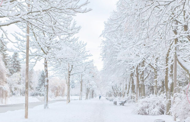 Cold Snaps Create Peak Windows: A Practical Readiness Playbook for C&I Energy Teams