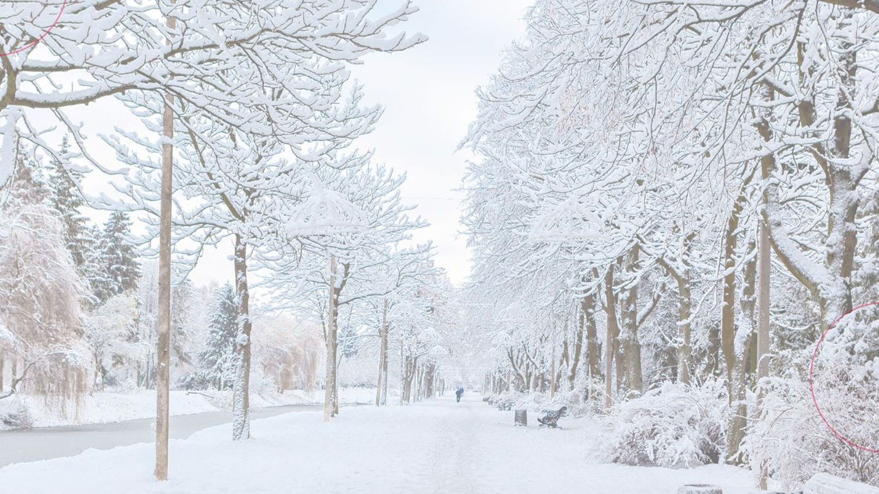 Cold Snaps Create Peak Windows: A Practical Readiness Playbook for C&I Energy Teams