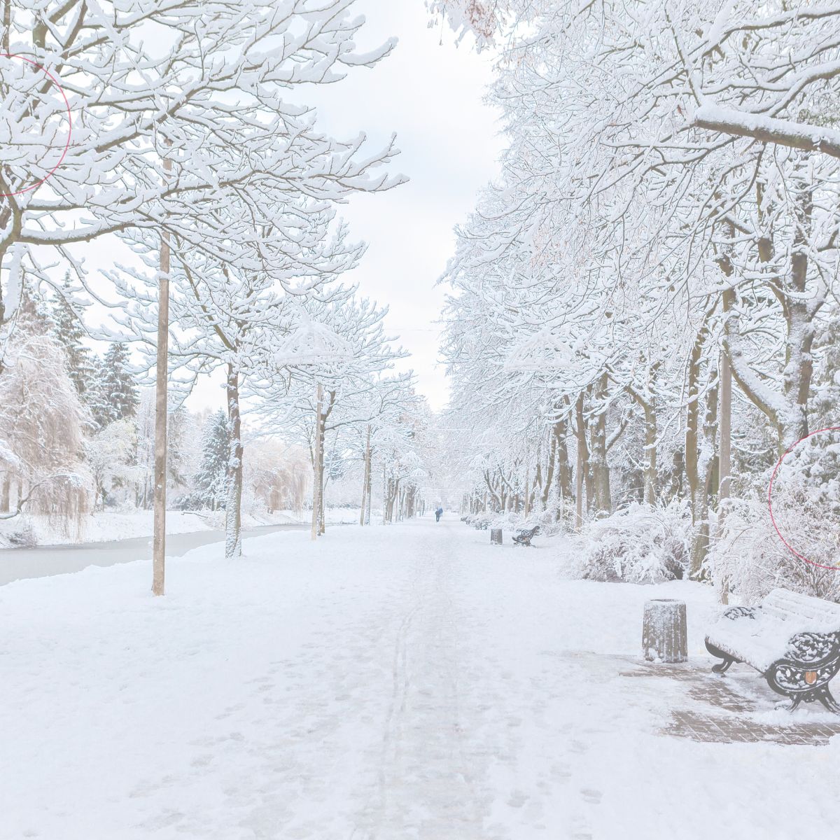 Cold Snaps Create Peak Windows: A Practical Readiness Playbook for C&I Energy Teams