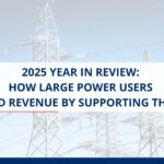 Rodan Energy 2025 Year in Review: How Large Power Users Earned Revenue by Supporting the Grid