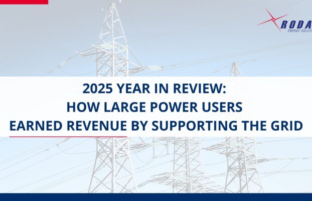 Rodan Energy 2025 Year in Review: How Large Power Users Earned Revenue by Supporting the Grid
