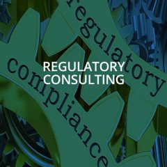 Regulatory Consulting
